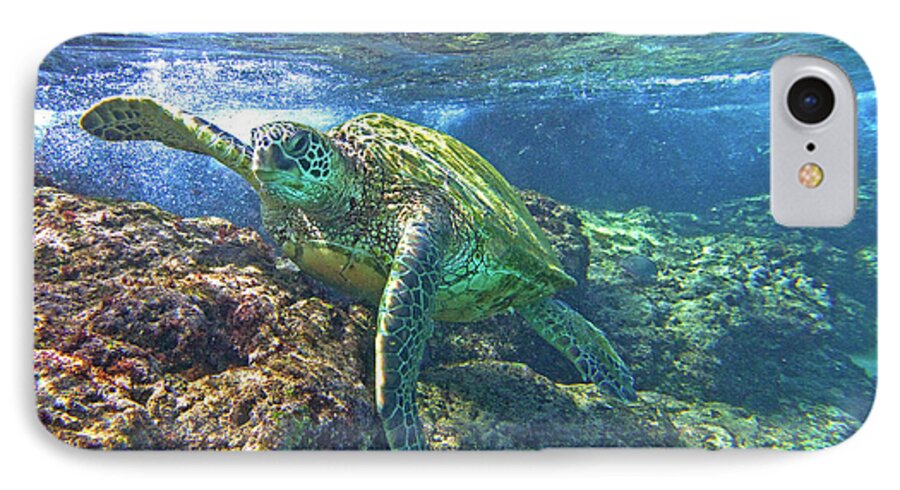 Maui Hawaii Black Rock Turtle Ocean Creature Fine Art Photography iPhone 7 Case featuring the photograph Lunch Time by James Roemmling