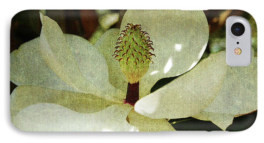 Magnolia iPhone 7 Case featuring the photograph Magnolia Grande by Susanne Van Hulst