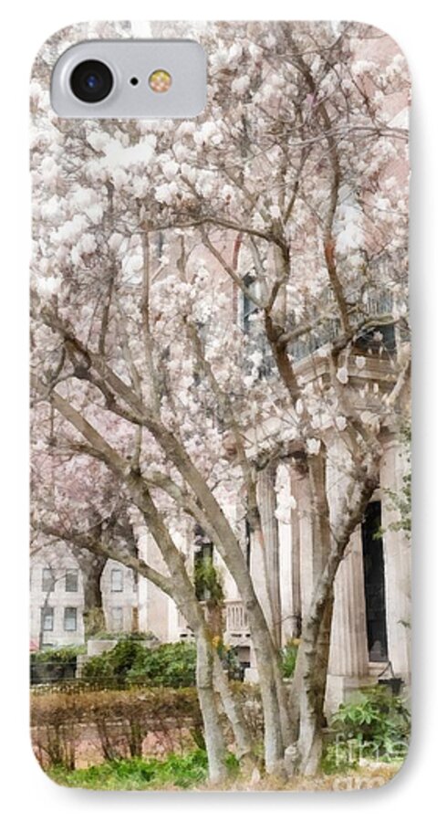 Magnolias iPhone 7 Case featuring the photograph Magnolias in Back Bay by Edward Fielding