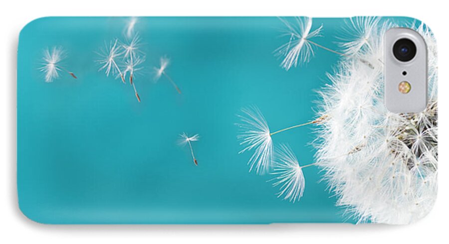 Dandelion iPhone 7 Case featuring the photograph Make a wish II by Anastasy Yarmolovich