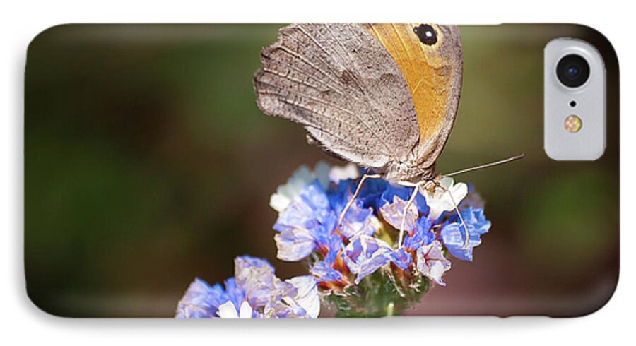 Butterfly iPhone 7 Case featuring the photograph Maniola telmessia by Meir Ezrachi
