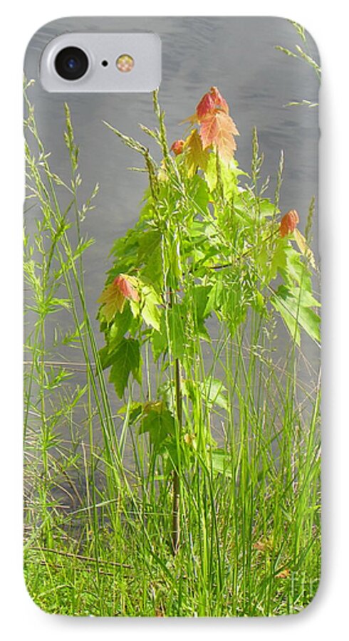 Maple Lake Photo Photograph Digital Green Red Grass Yellow Weed Weeds Craig Walters Tree Trees iPhone 7 Case featuring the photograph Maple on Lake by Craig Walters