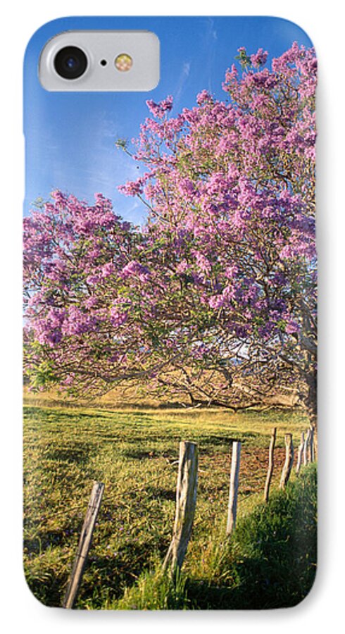Afternoon iPhone 7 Case featuring the photograph Maui Upcountry by Dana Edmunds - Printscapes