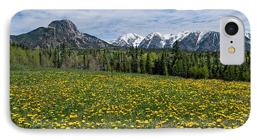Alpine iPhone 7 Case featuring the photograph Meadow of Dandelions in the San Juan Mountains by Jeff Goulden