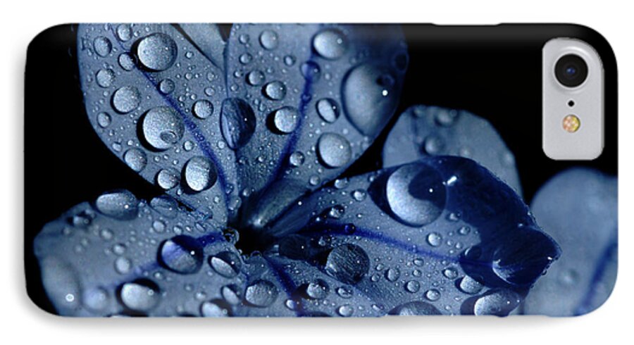 Blue iPhone 7 Case featuring the photograph Midnight Dew by Donna Blackhall