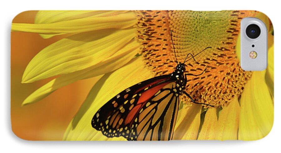 Flower iPhone 7 Case featuring the photograph Monarch on Sunflower by Ann Bridges