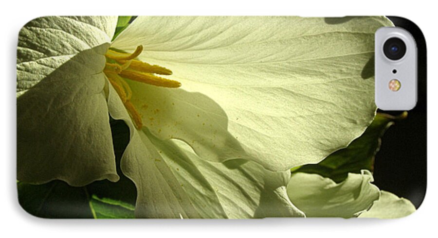 Trillium iPhone 7 Case featuring the photograph Morning Light - Trillium by Angie Rea