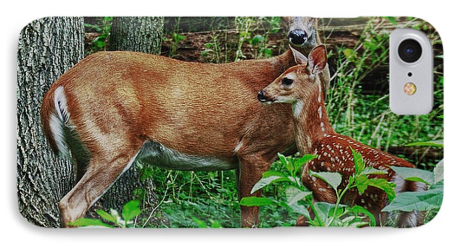 Deer iPhone 7 Case featuring the photograph Mother and Child by Mark Fuller