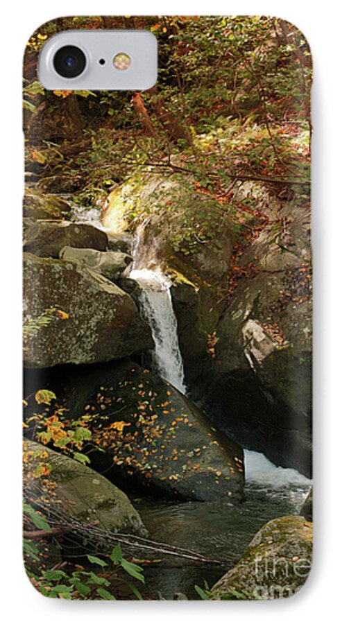 Mountain iPhone 7 Case featuring the photograph Mountain Stream by Rebecca Davis