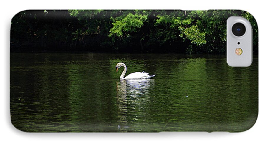 Mute Swan iPhone 7 Case featuring the photograph Mute Swan by Sandy Keeton