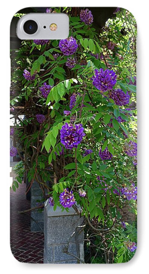 Garden iPhone 7 Case featuring the painting Native Wisteria Vine I by Angela Annas