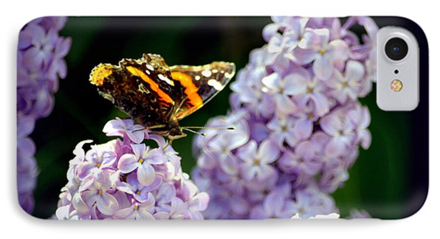 Butterfly iPhone 7 Case featuring the photograph Nature's Beauty by Clarice Lakota