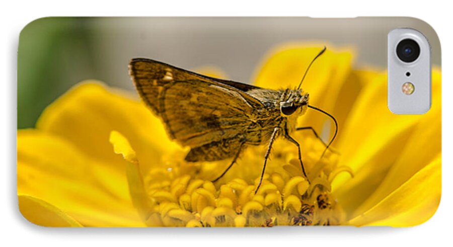 Flower Moth Yellow Garden Nectar Macro Bruce Pritchett Photography iPhone 7 Case featuring the photograph Nectar delight by Bruce Pritchett