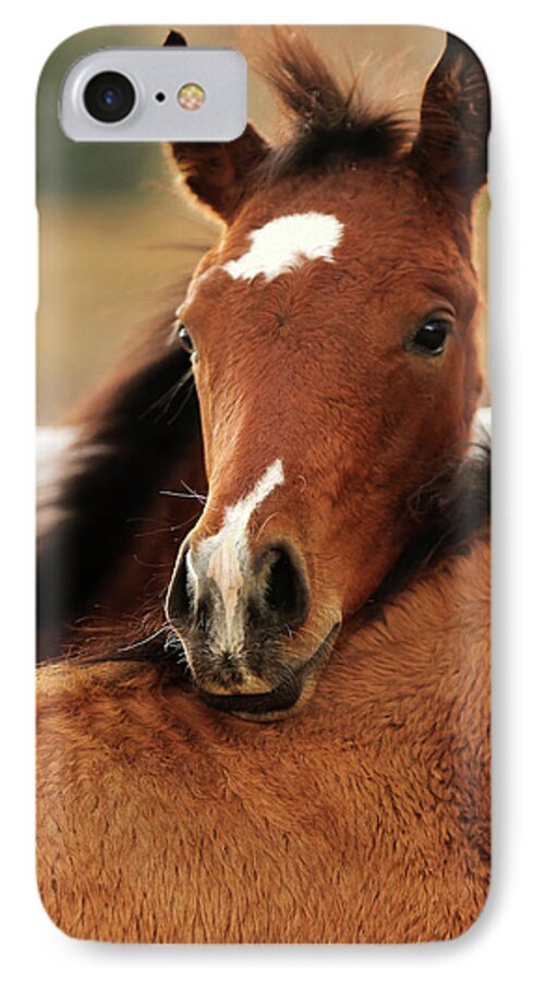 Foal iPhone 7 Case featuring the photograph New Life by Sharon Jones