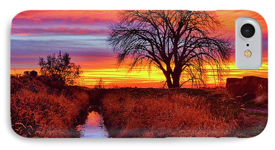 Sunset iPhone 7 Case featuring the photograph On The Horizon by Greg Norrell