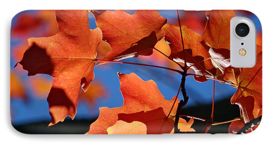 Leaves iPhone 7 Case featuring the photograph Orange Leaves by Mikki Cucuzzo