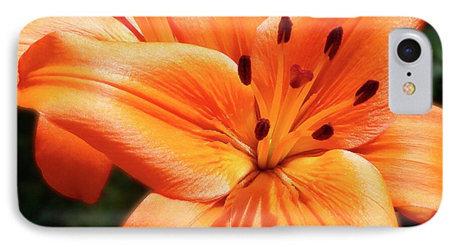 Lily iPhone 7 Case featuring the photograph Orange Lily Joy by Johanna Hurmerinta