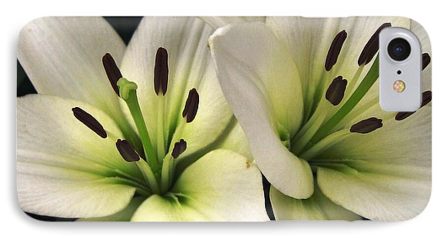Oriental Lily iPhone 7 Case featuring the photograph Oriental Lily named Endless Love by J McCombie