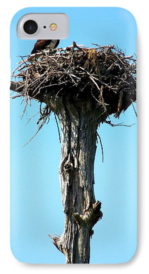 Osprey iPhone 7 Case featuring the photograph Osprey Point by Karen Wiles