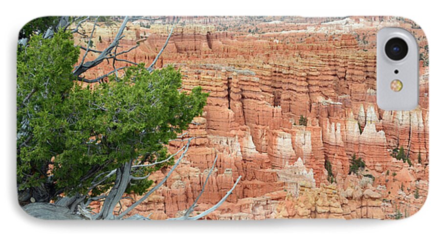 Bryce iPhone 7 Case featuring the photograph Overlooking Bryce Canyon by Bruce Gourley