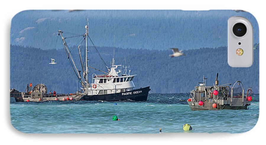 Herring Fishery iPhone 7 Case featuring the photograph Pacific Ocean Herring by Randy Hall