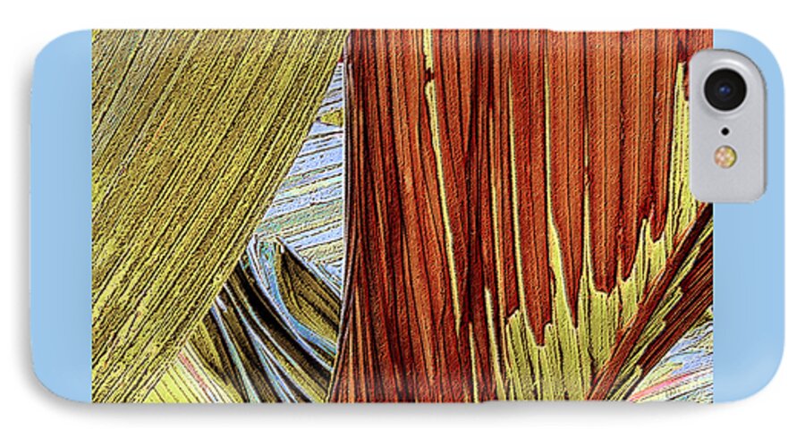 Botanical Abstract iPhone 7 Case featuring the photograph Palm Leaf Abstract by Ben and Raisa Gertsberg
