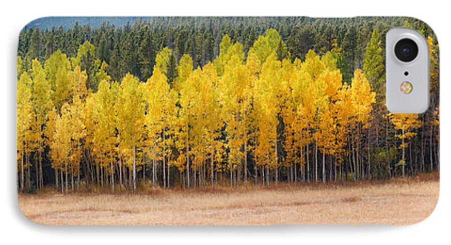 Peak iPhone 7 Case featuring the photograph Panorama of Aspen Grove Fall Foliage Peak To Peak Highway - Rocky Mountains Colorado State by Silvio Ligutti