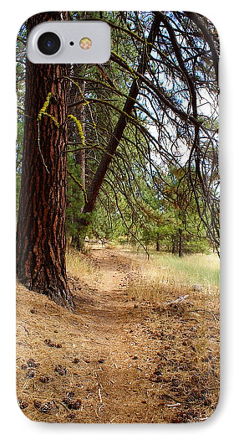 Nature iPhone 7 Case featuring the photograph Path to Enlightenment 2 by Ben Upham III