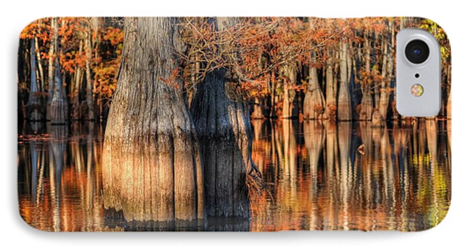 Daytime Photographs iPhone 7 Case featuring the photograph Peaceful Autumn Afternoon by Ester McGuire