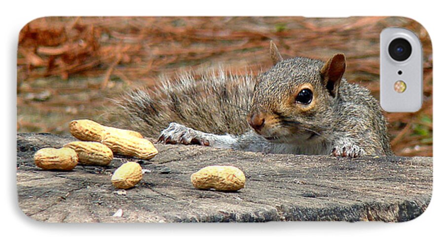 Squirrel iPhone 7 Case featuring the photograph Peanut Surprise by Sue Melvin
