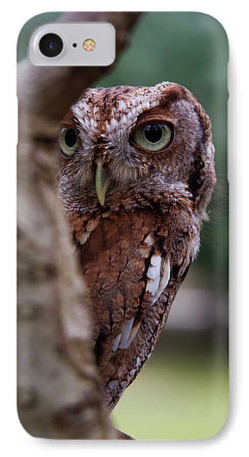 Nature iPhone 7 Case featuring the photograph Peekaboo Pablo by Arthur Dodd