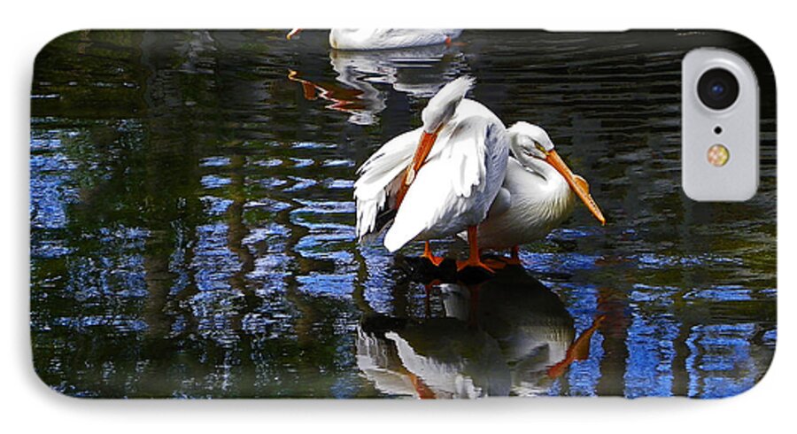 White Pelicans iPhone 7 Case featuring the photograph Pelican Reflections by Judy Wanamaker