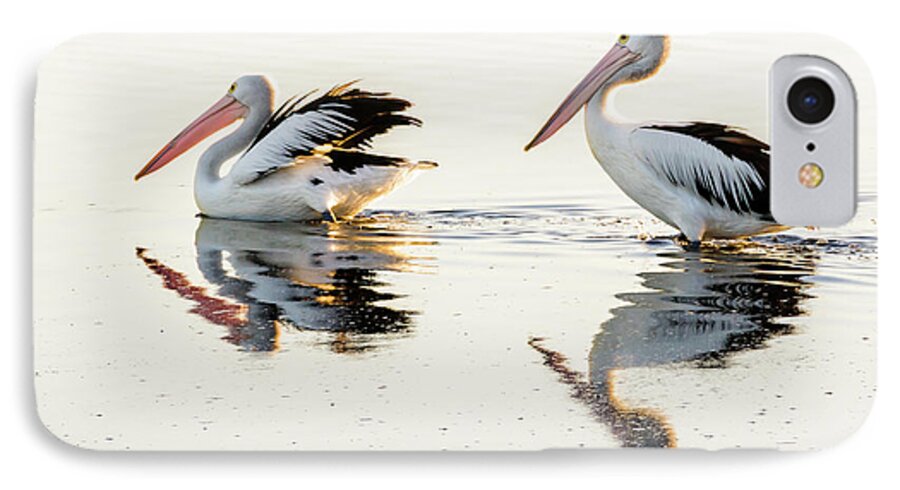 Bird iPhone 7 Case featuring the photograph Pelicans at Dusk by Werner Padarin