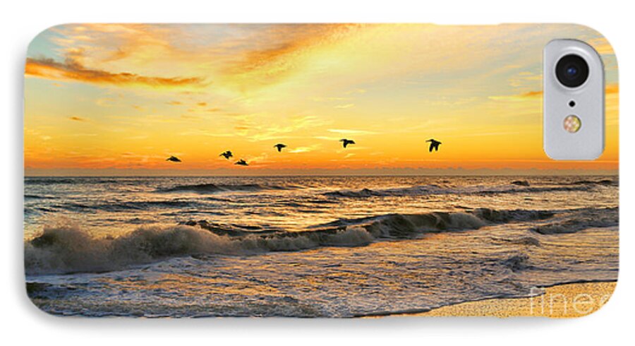Pelicans iPhone 7 Case featuring the photograph Pelicans at Sunrise signed 4651b 2 by Jack Schultz