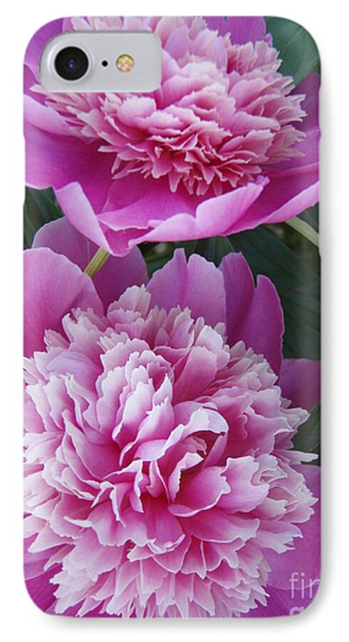 Peony iPhone 7 Case featuring the photograph Peony by Kristine Nora