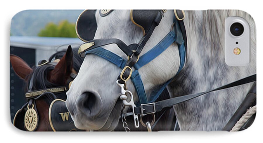 Percheron iPhone 7 Case featuring the photograph Percheron Horses by Theresa Tahara