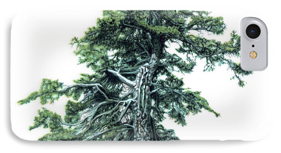 Pine Tree iPhone 7 Case featuring the painting Perserverance by Wayne Pruse