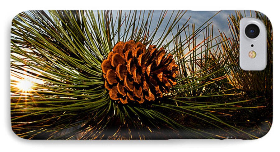Pine Cone iPhone 7 Case featuring the photograph Pine Cone by Terry Elniski