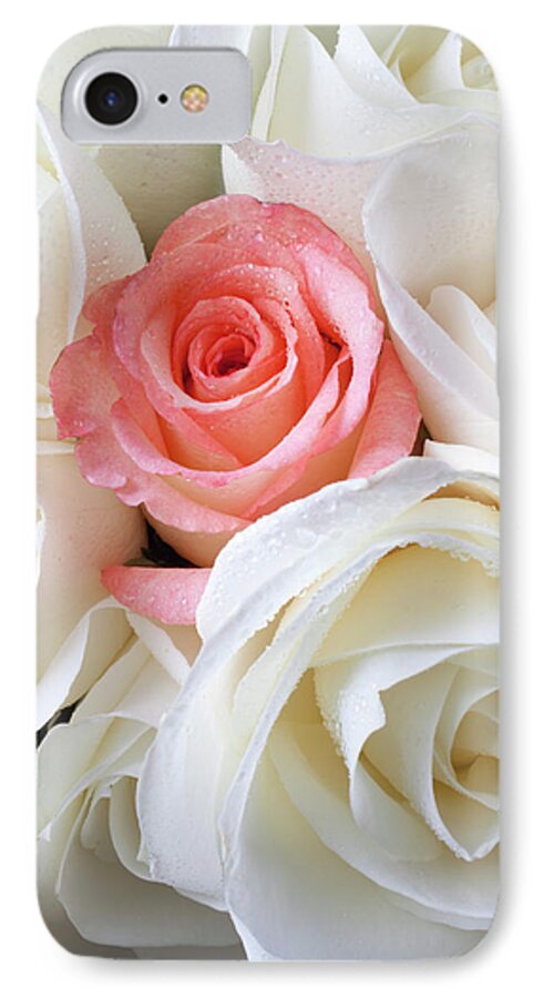 Pink Rose White Roses iPhone 7 Case featuring the photograph Pink rose among white roses by Garry Gay