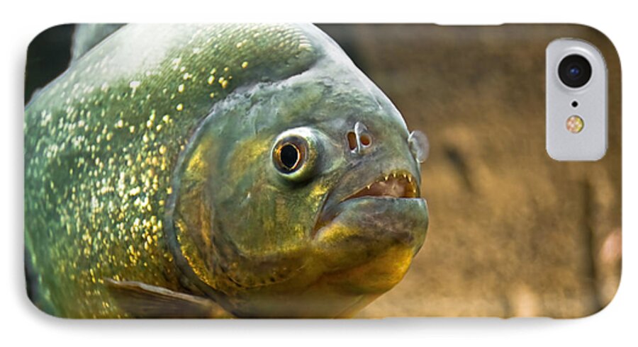 Aggressive iPhone 7 Case featuring the photograph Piranha by Yurix Sardinelly