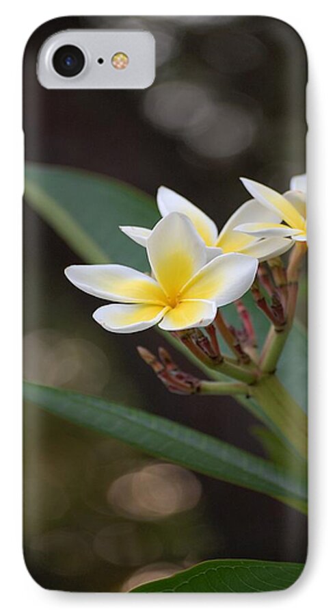 Plumeria iPhone 7 Case featuring the photograph Plumeria II by Robert Meanor