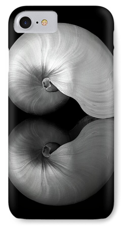 Sea Shell iPhone 7 Case featuring the photograph Polished Nautilus shell and reflection by Jim Hughes