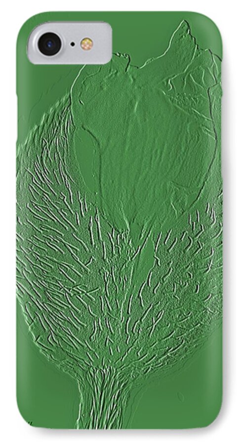 Nature iPhone 7 Case featuring the photograph Poppy Embossing by Chris Berry