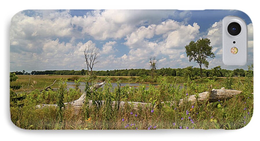 Water iPhone 7 Case featuring the photograph Prairie Wetland by Scott Kingery