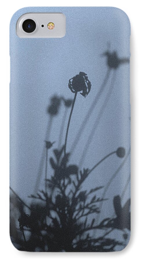 Daisy Bush iPhone 7 Case featuring the photograph Pressed Daisy Bush Blue by Stan Magnan