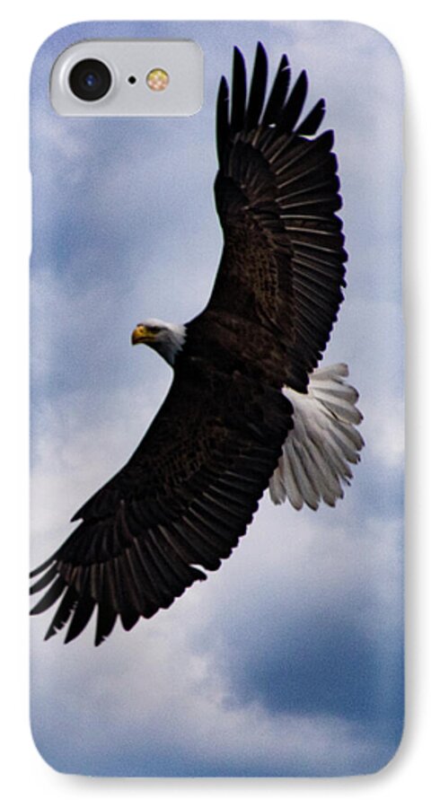 Eagle iPhone 7 Case featuring the photograph Prince Rupert Soaring Eagle by Louise Magno