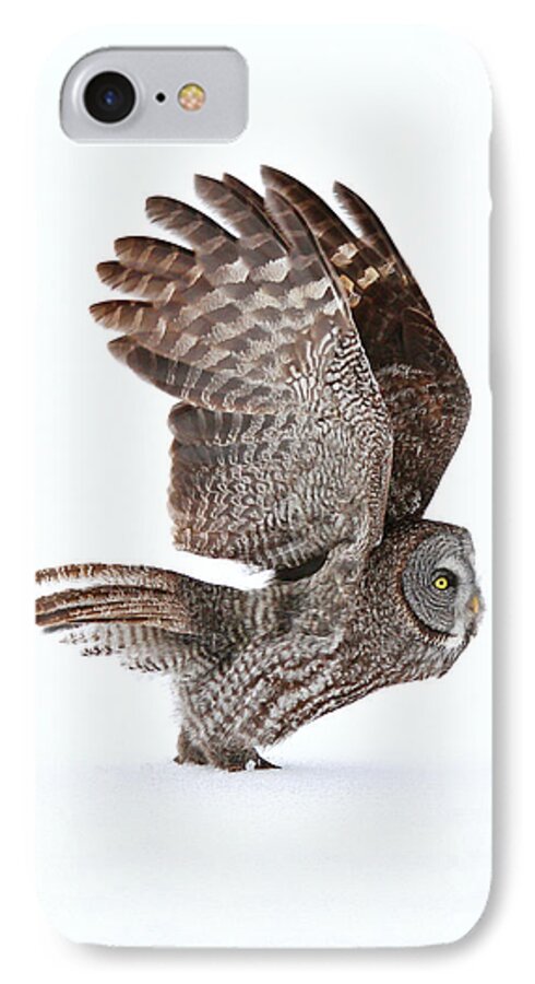 Great Gray Owl iPhone 7 Case featuring the photograph Proceed to runway for take off by Heather King