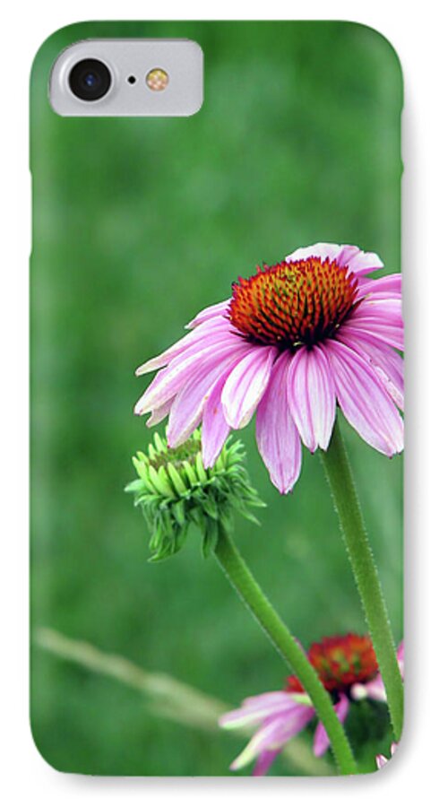 Purple iPhone 7 Case featuring the photograph Purple Cone by Traci Cottingham