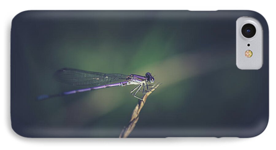 Damselfly iPhone 7 Case featuring the photograph Purple Damsel by Shane Holsclaw