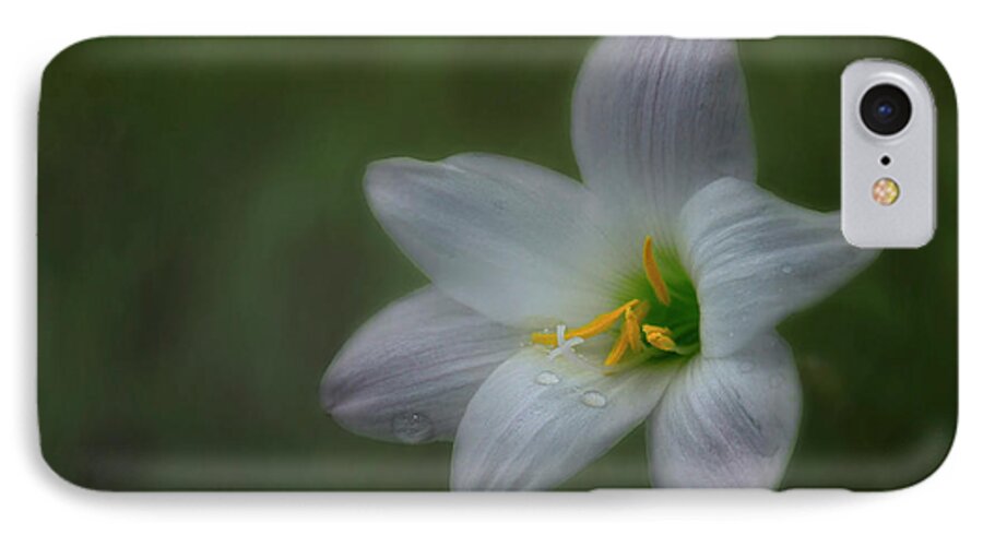 Florida iPhone 7 Case featuring the photograph Rain Lily by Carol Eade